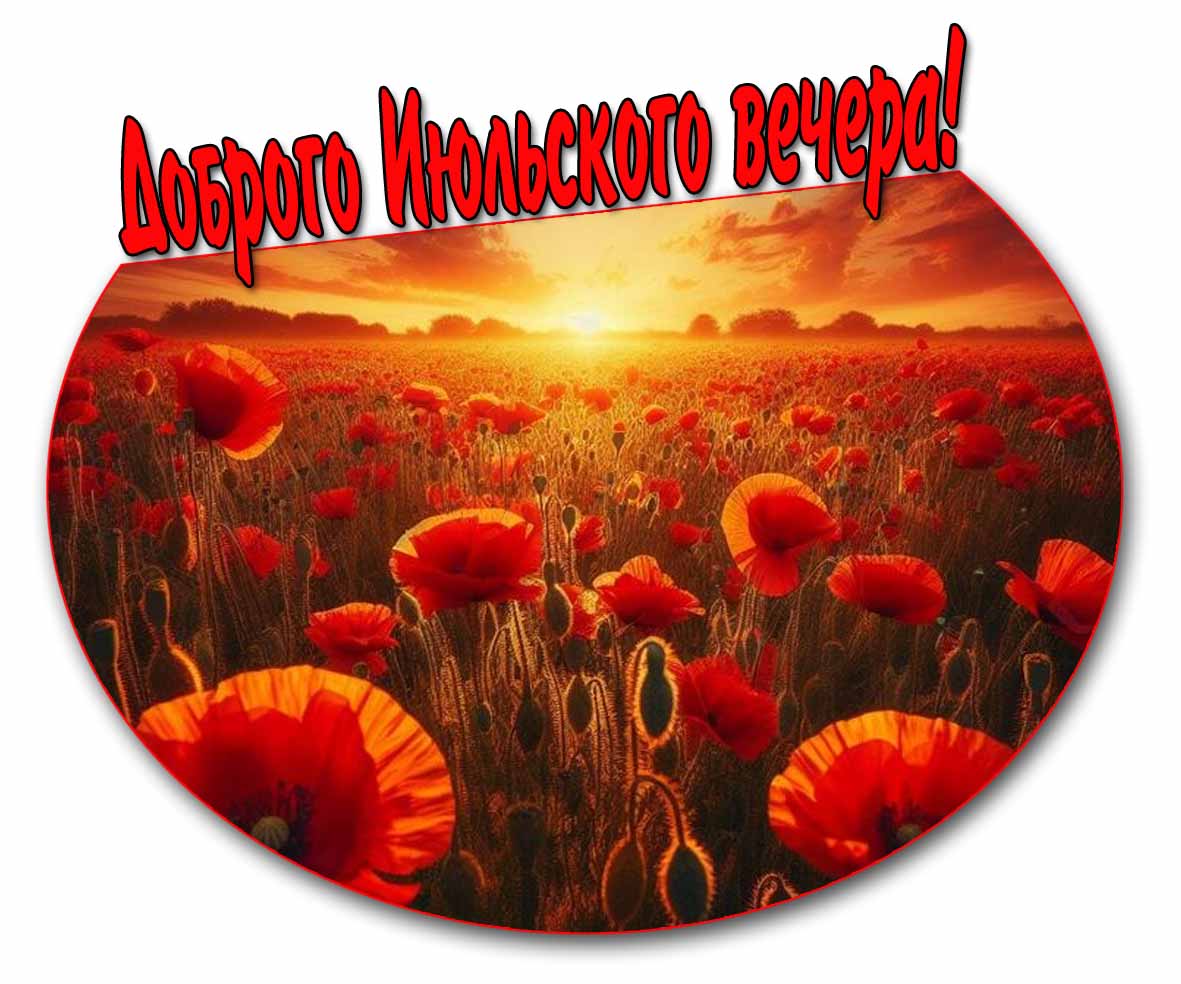 Картинка доброго июльского вечера с маками
