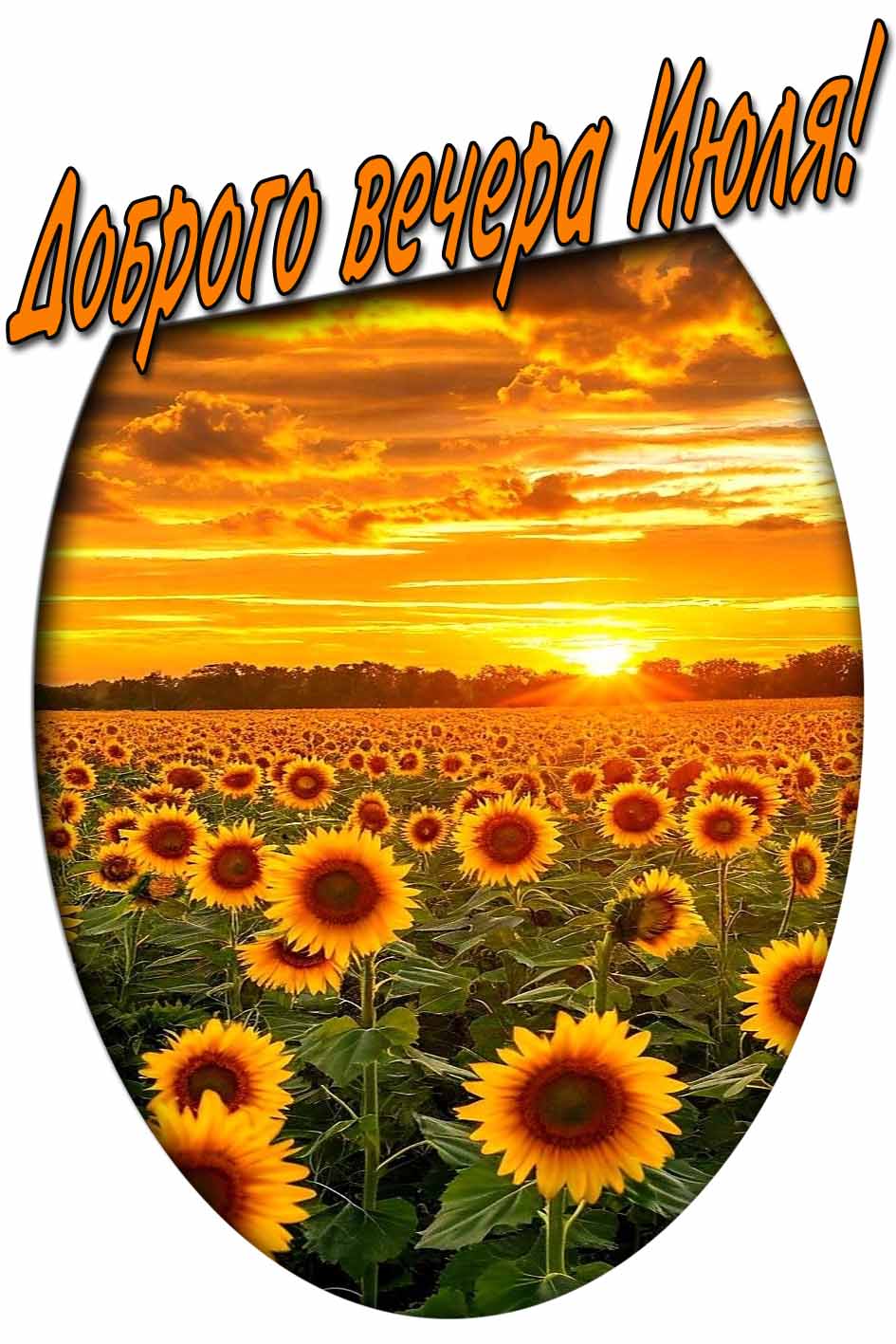 Доброго вечера Июля! - картинка на телефон