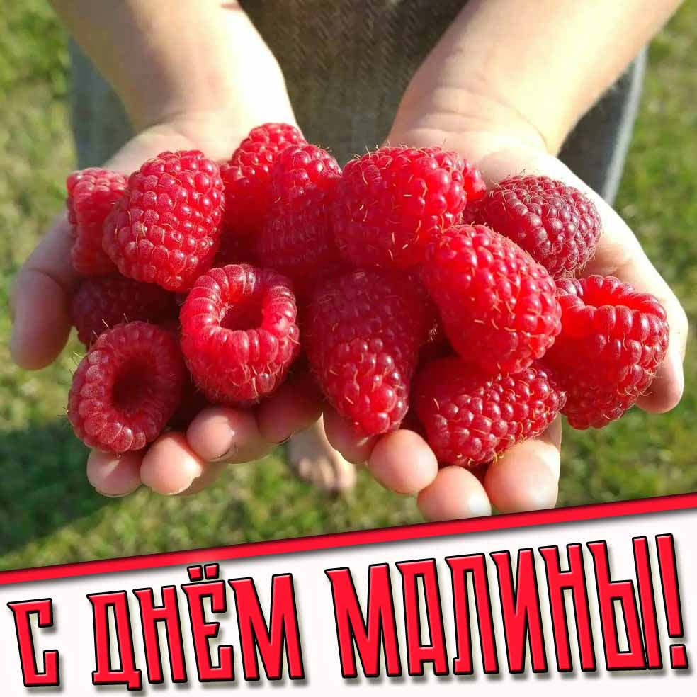 Красивая картинка с днём малины