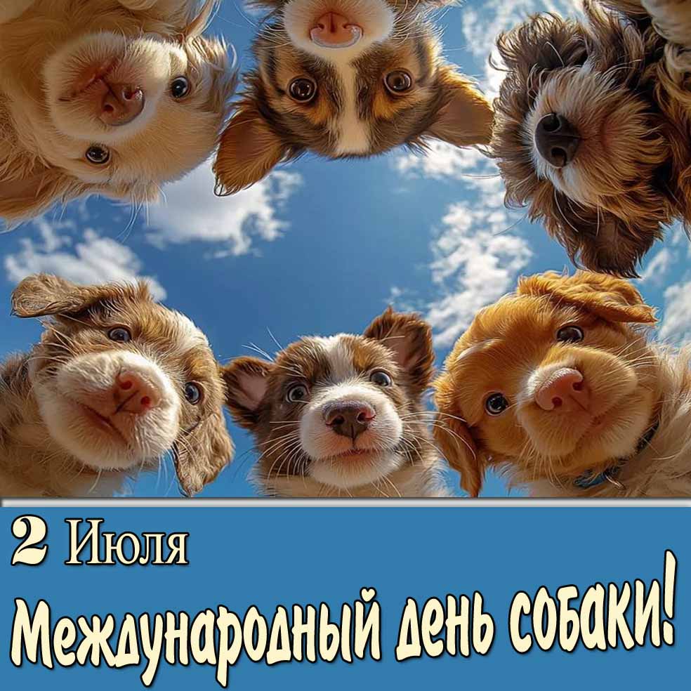 2 Июля Международный день собак - забавная открытка