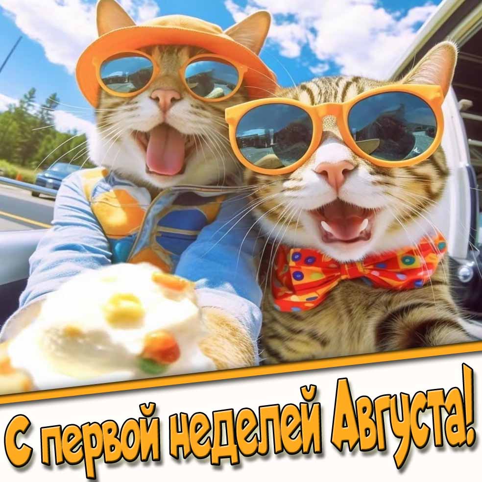 Смешная картинка с первой неделей Августа