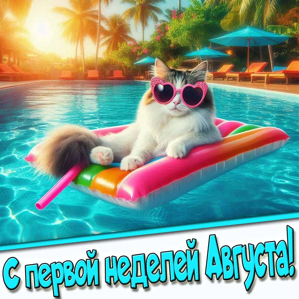 С первой неделей Августа! - открытка с котом