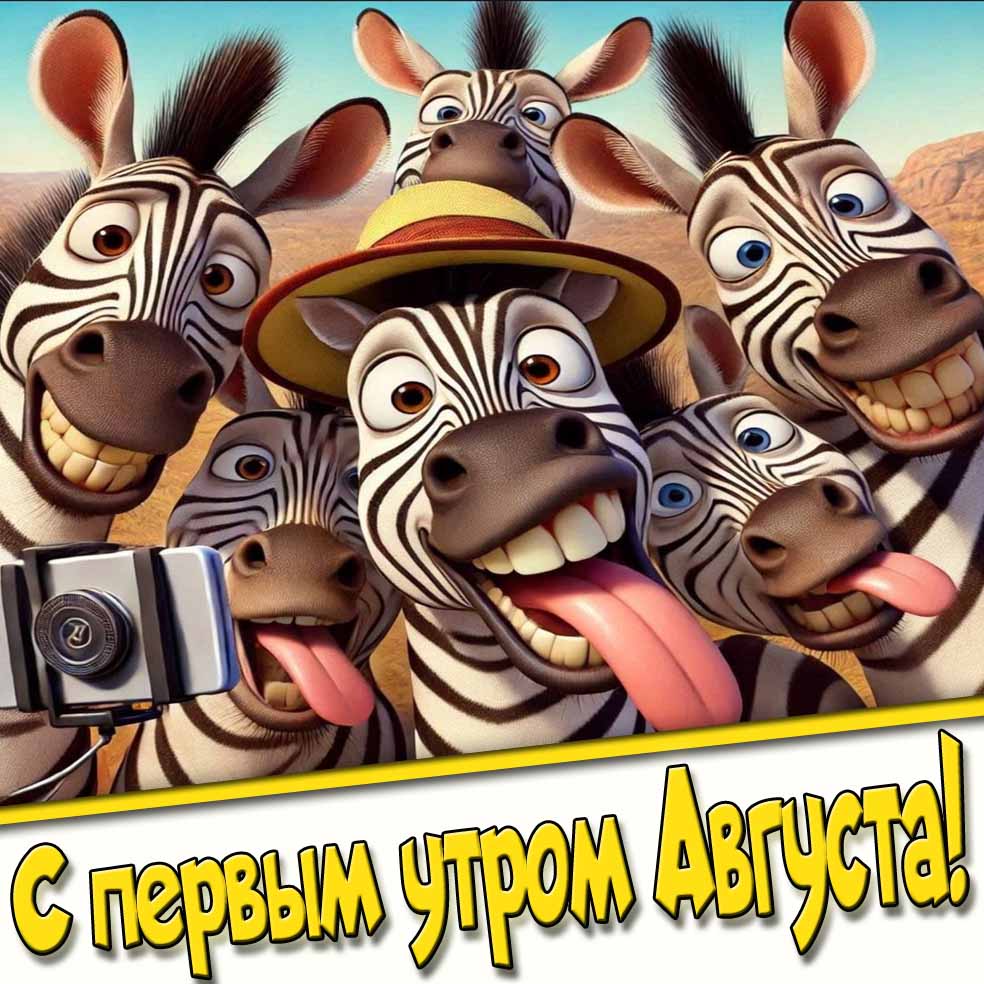 Смешная картинка с первым утром августа