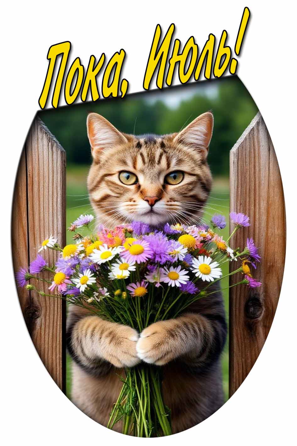 Прикольная картинка с котом "Пока, Июль!"