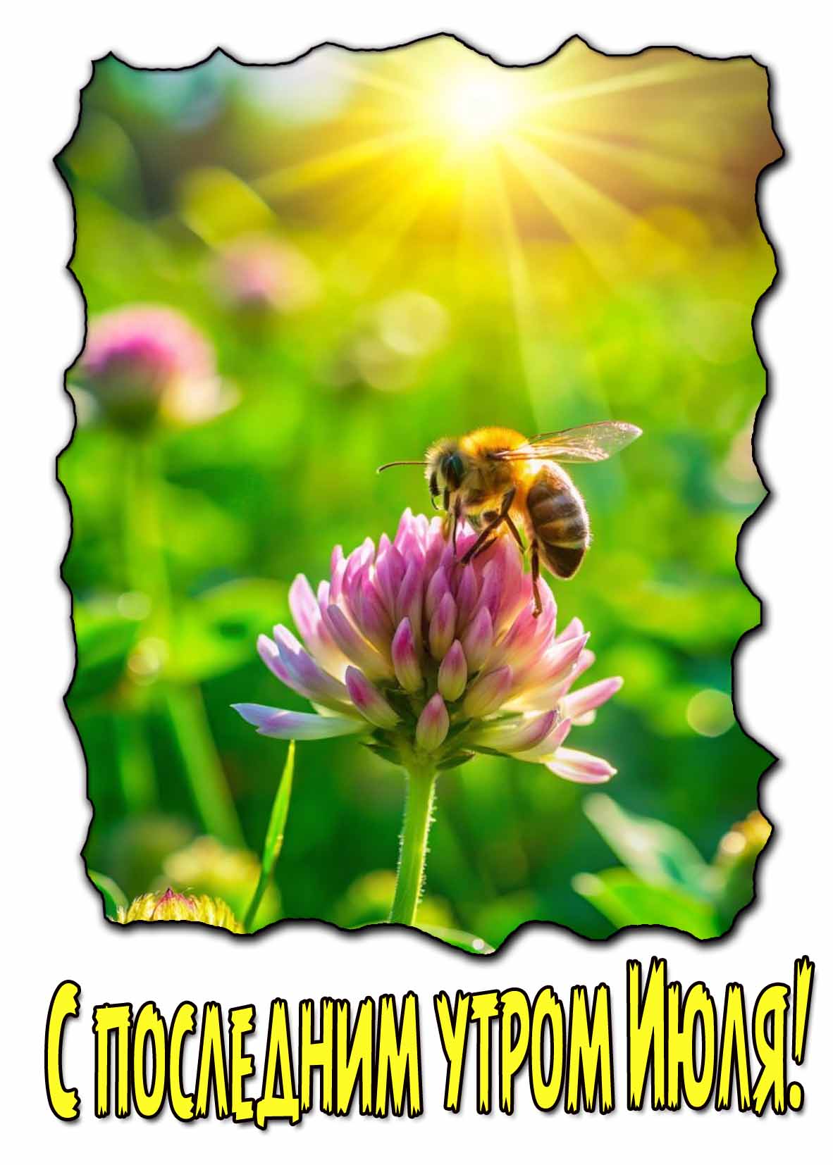 С последним утром Июля! - открытка с пчелой