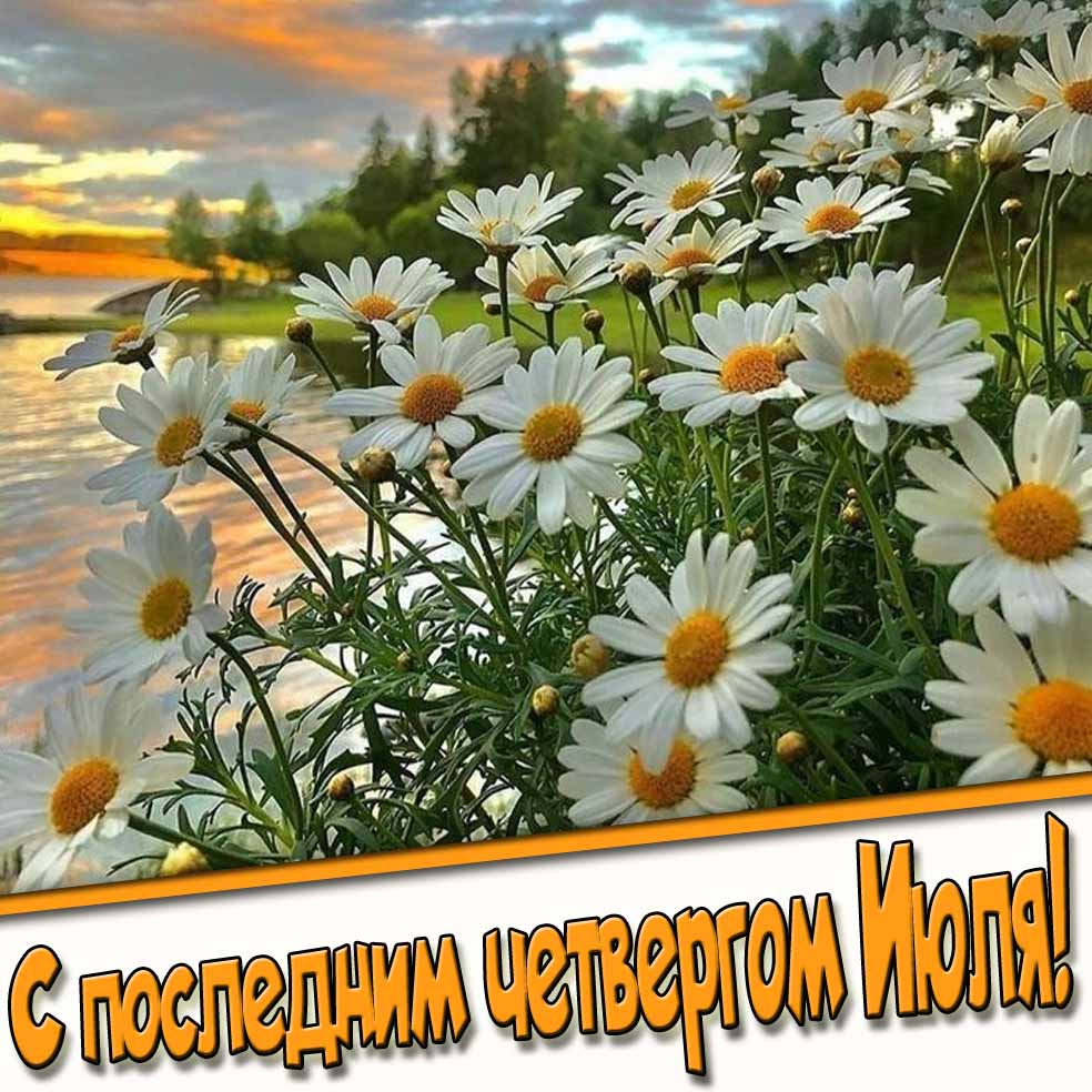 С последним Четвергом Июля! - картинка с ромашками