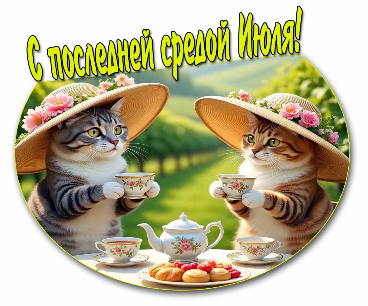 С последней средой Июля! - красивая картинка с кошками