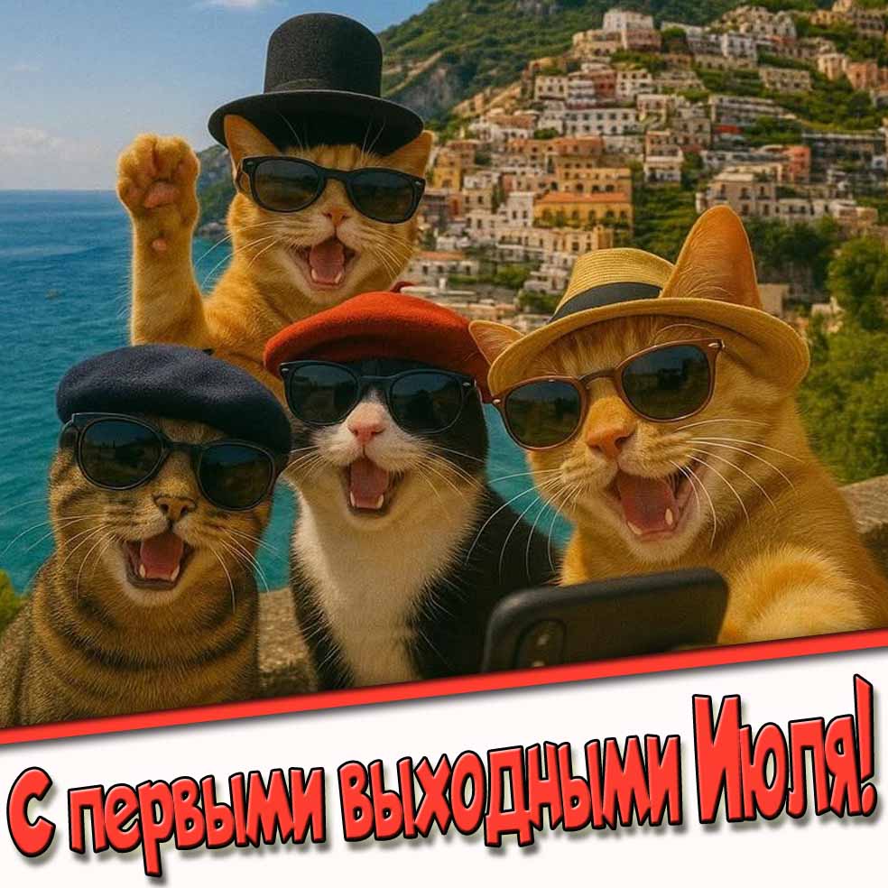 С первыми выходными Июля! - смешная открытка с котами