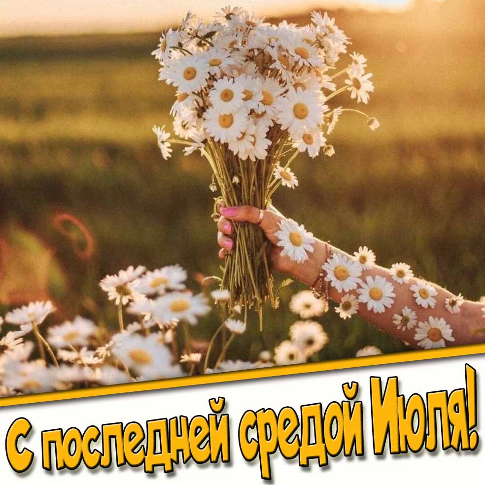 С последней Средой Июля! - картинка с ромашками