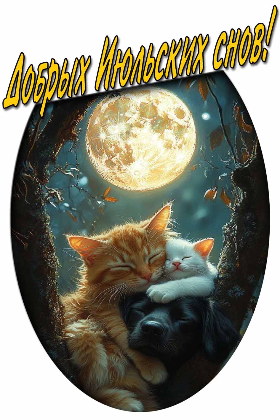 Добрых Июльских снов! - прикольная открытка