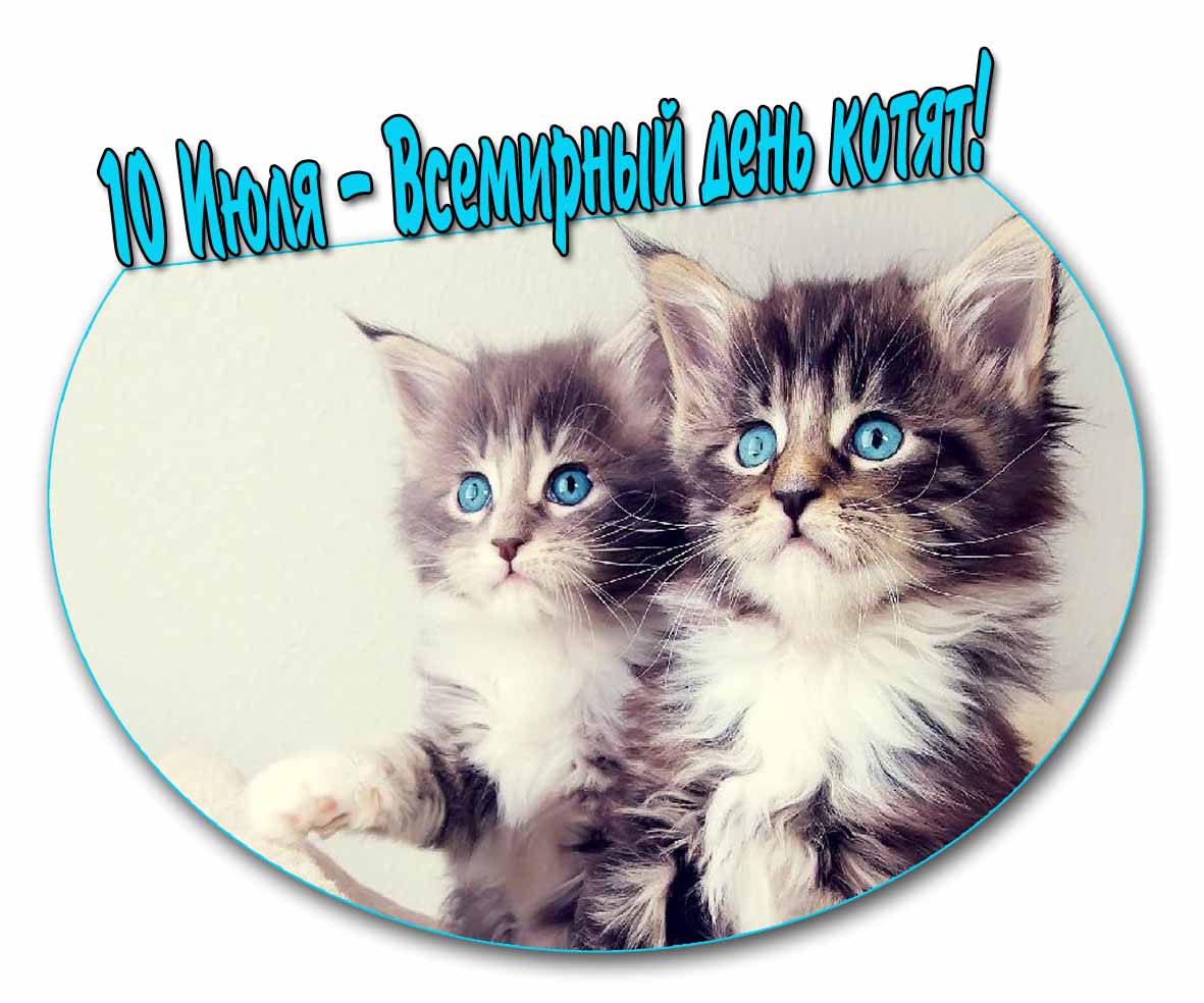 Картинка 10 Июля Всемирный день котят