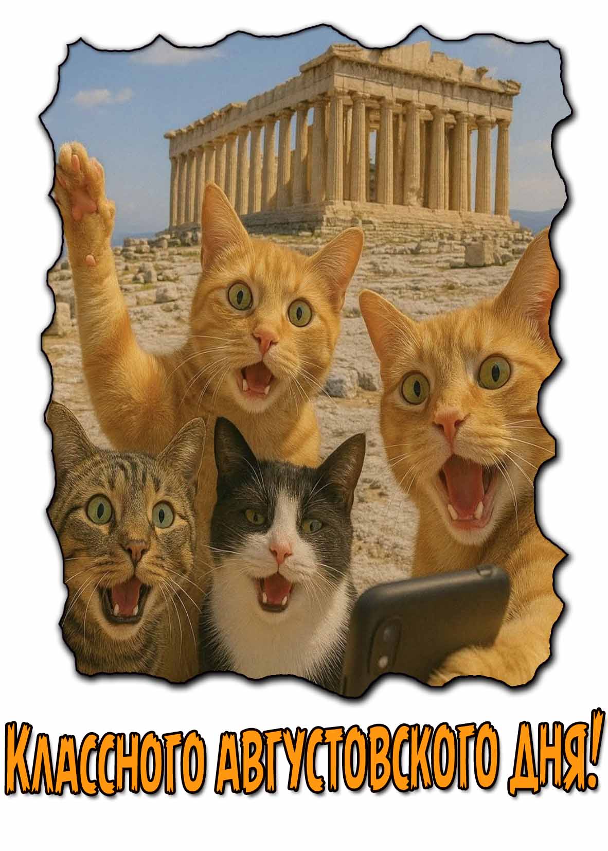 Классного августовского дня! - прикольная открытка с котами