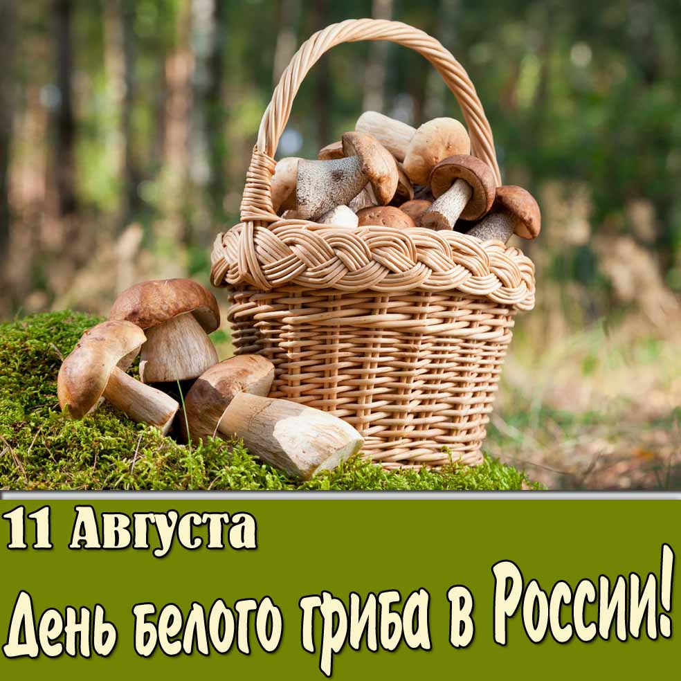 Открытка 11 Августа день белого гриба в России