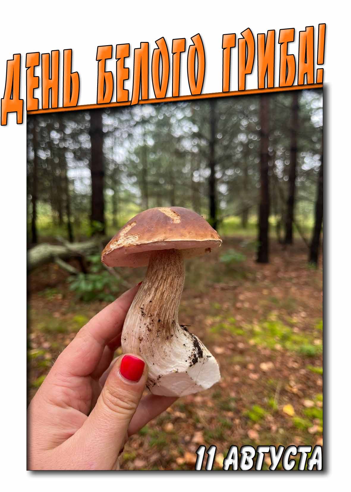 День белого гриба! - открытка