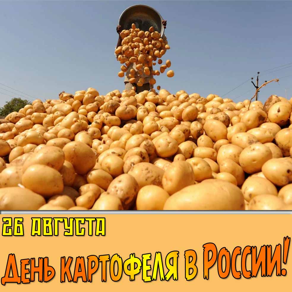 Красивая открытка на день картофеля в России