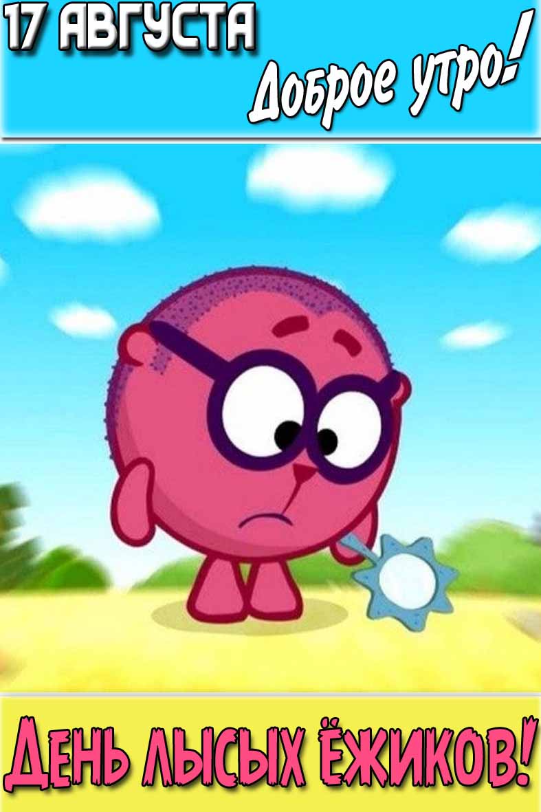 Открытка "17 августа доброе утро! День лысых ёжиков!"