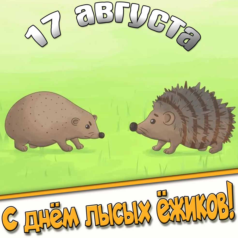 Прикольная картинка ко дню лысых ёжиков 17 августа