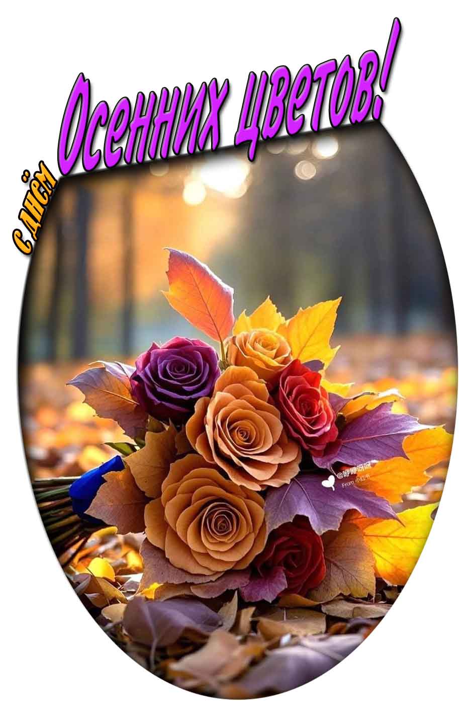 С днём осенних цветов! - картинка