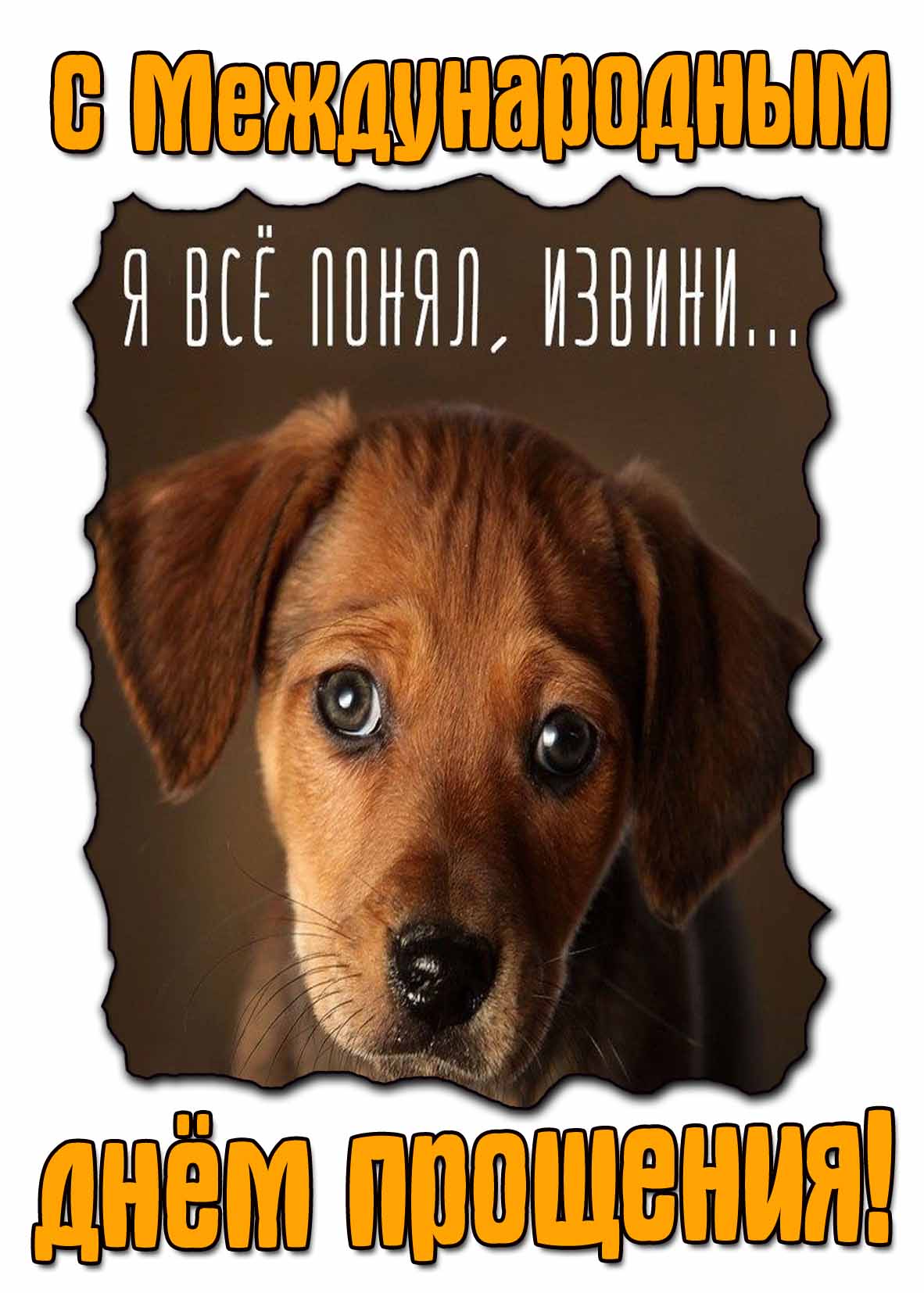 Картинка с Международным днём прощения