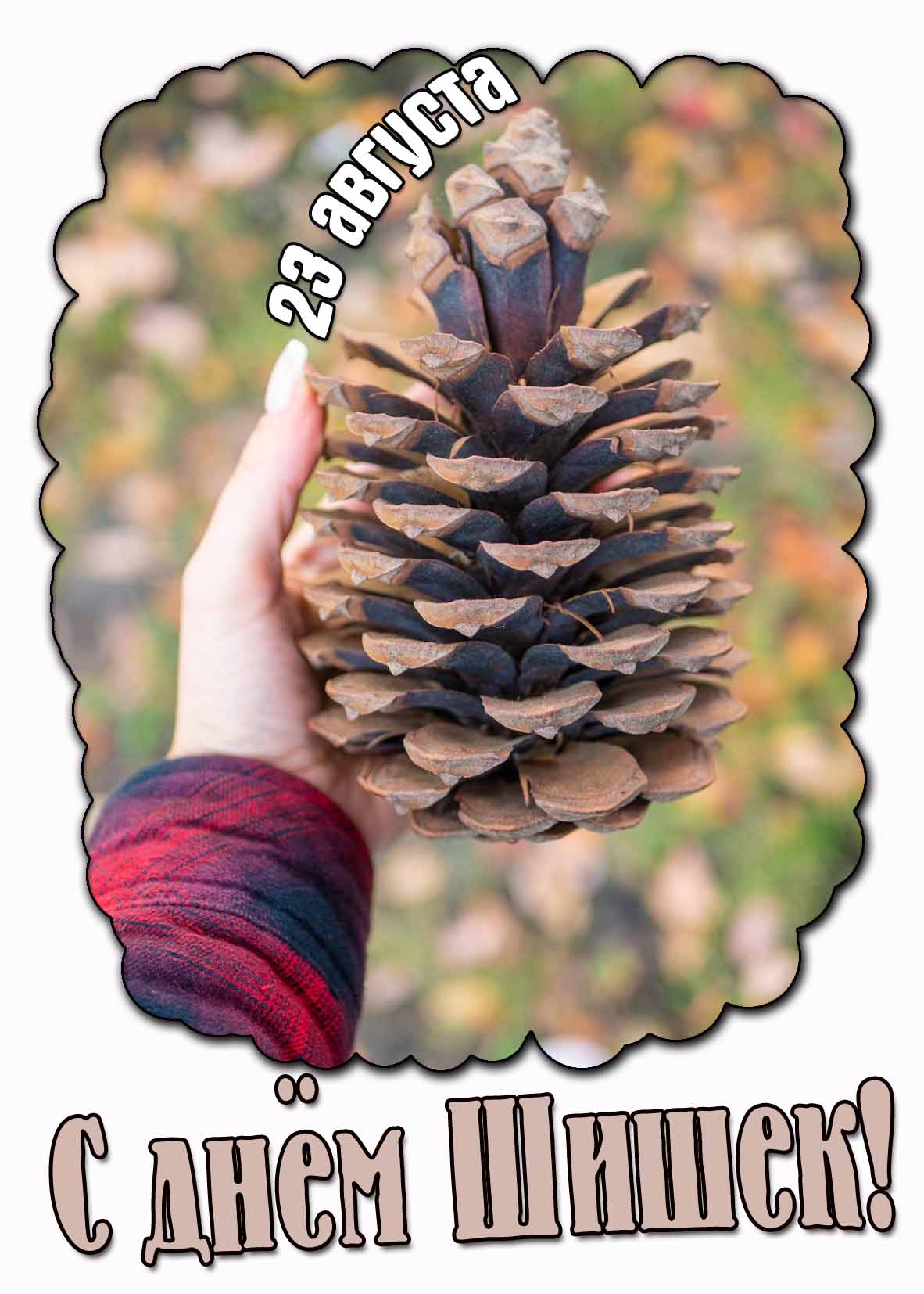 Картинка на день шишек 23 августа