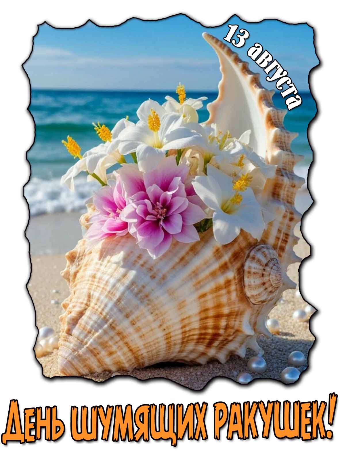 Картинка день шумящих ракушек 13 августа
