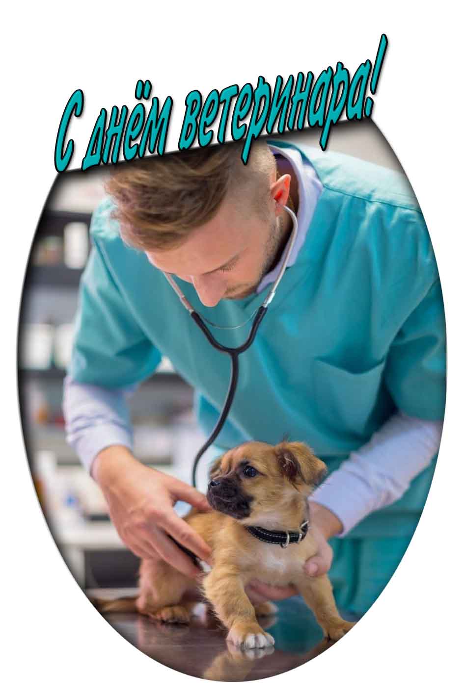 Красивая картинка с мужчиной врачом и собакой для поздравления : С днём ветеринара!