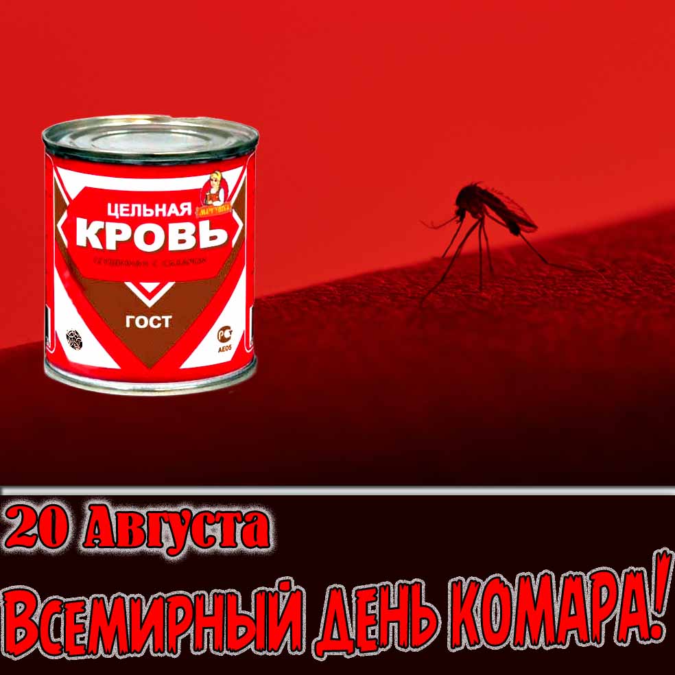 Креативная картинка ко Всемирному дню комара