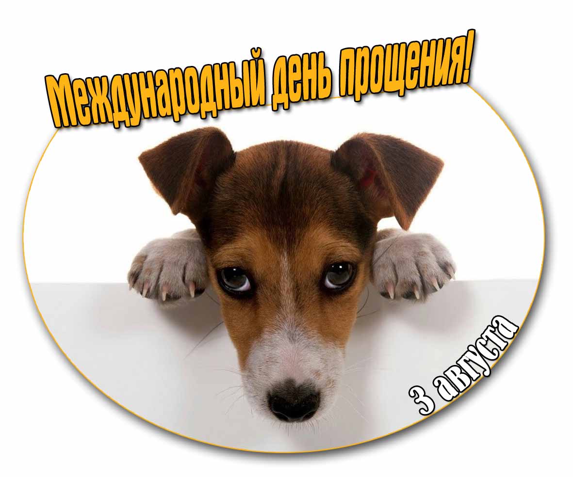 Открытка 3 августа Международный день прощения
