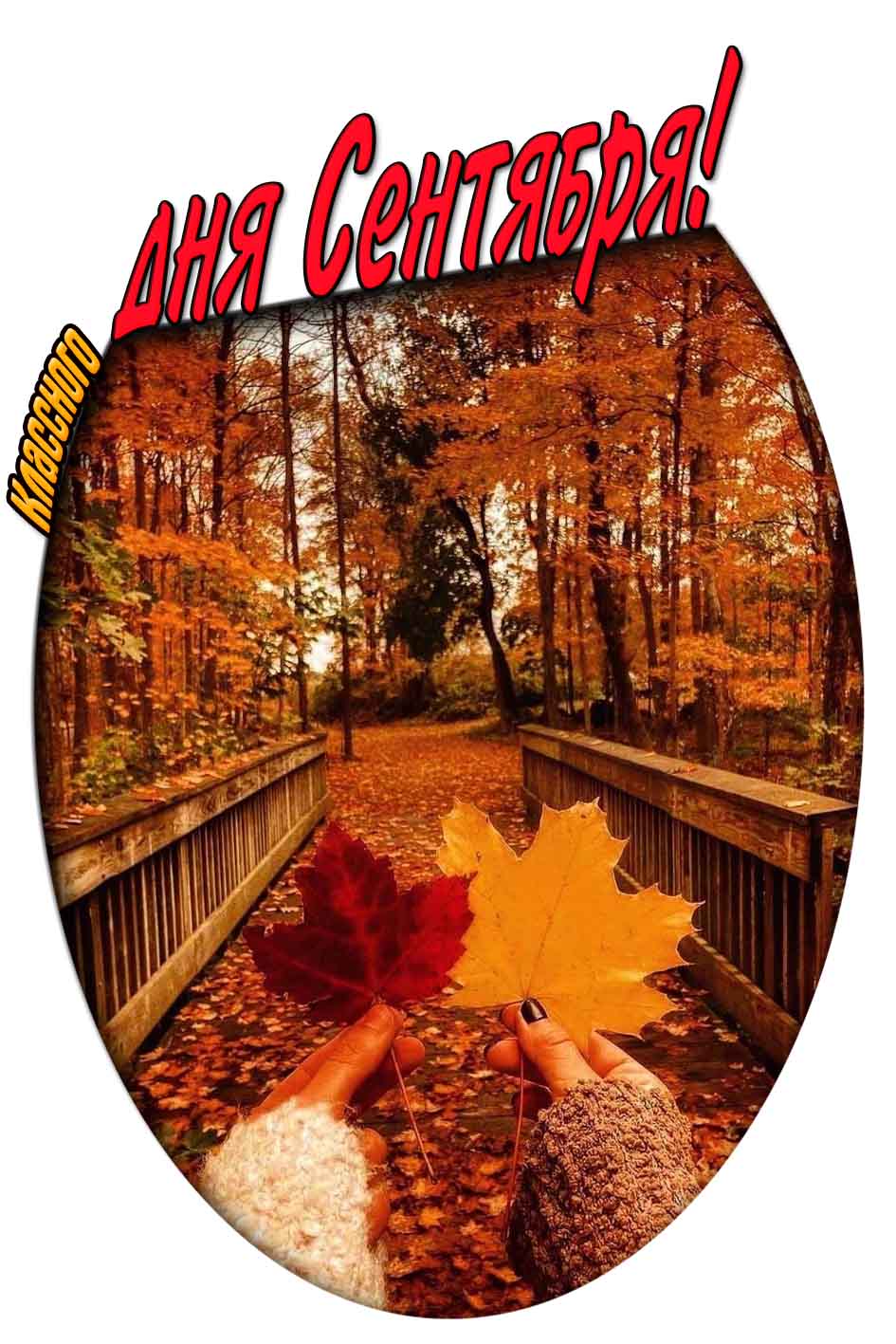 Классного дня сентября! - открытка с осенними листьями