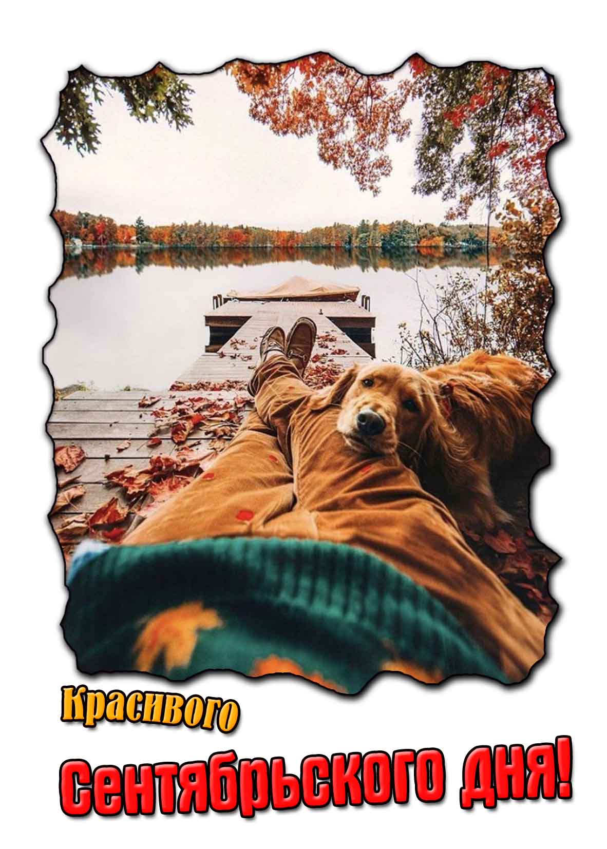 Открытка с пожеланием красивого сентябрьского дня