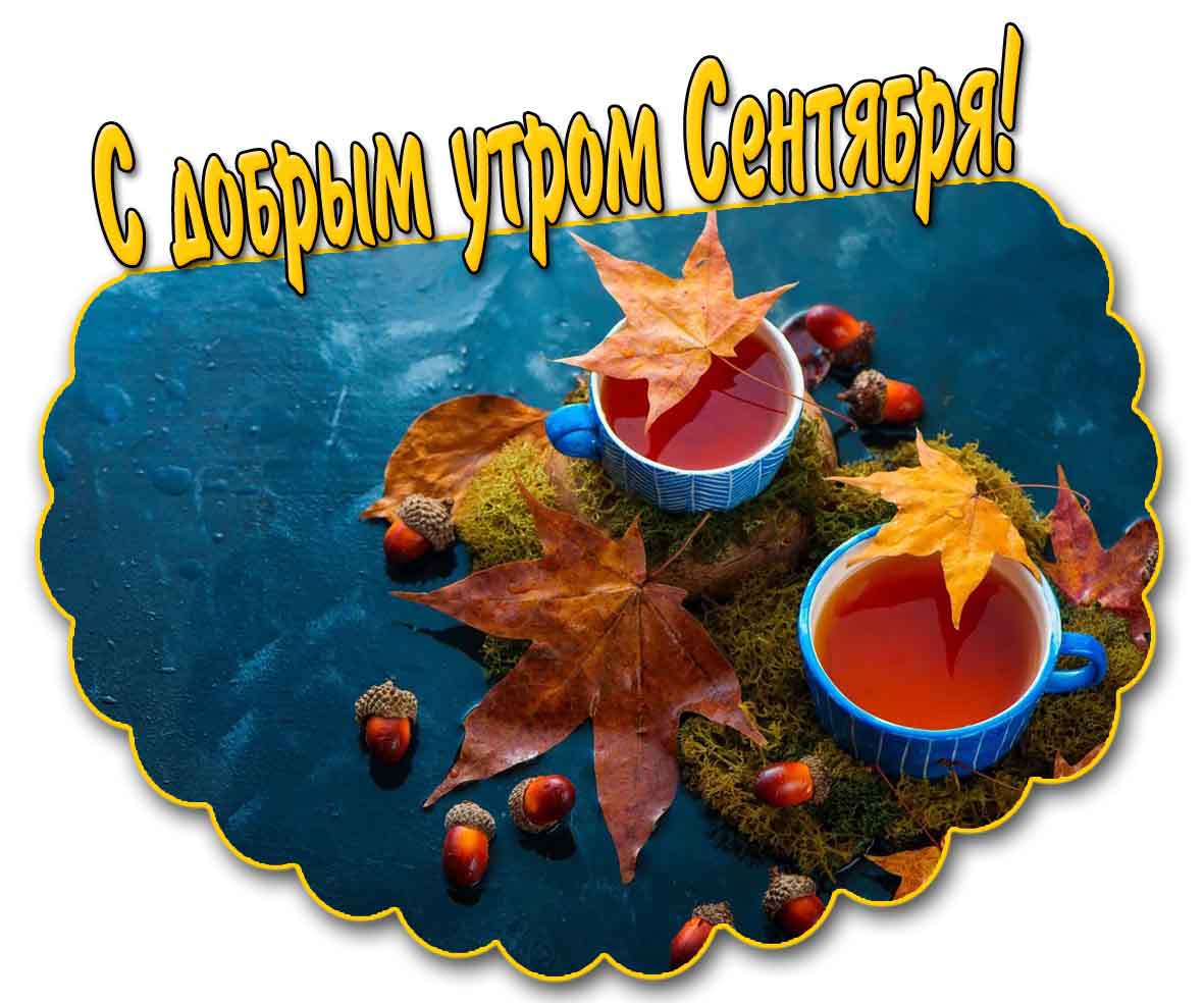Открытка с добрым утром сентября