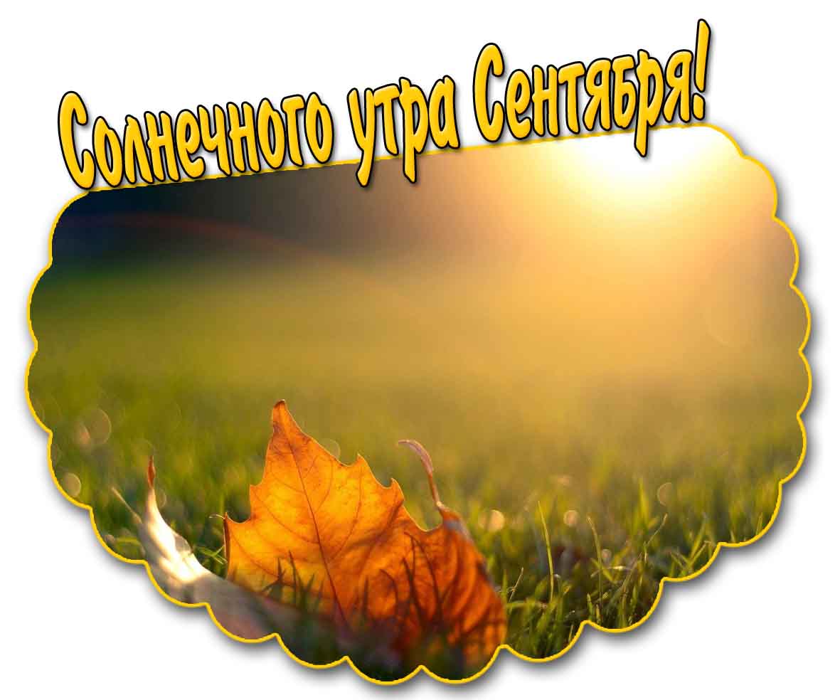 Солнечного утра Сентября! - стильная картинка