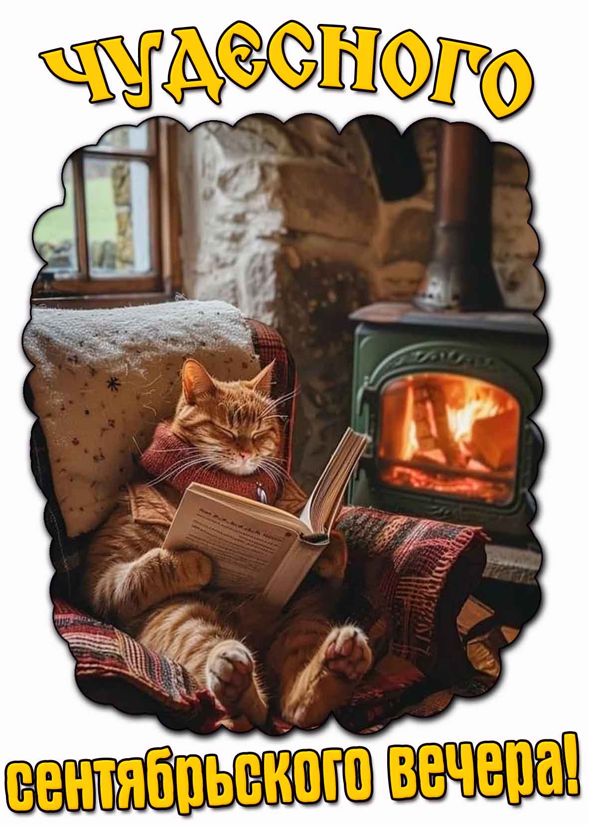 Чудесного сентябрьского вечера! - открытка с котом
