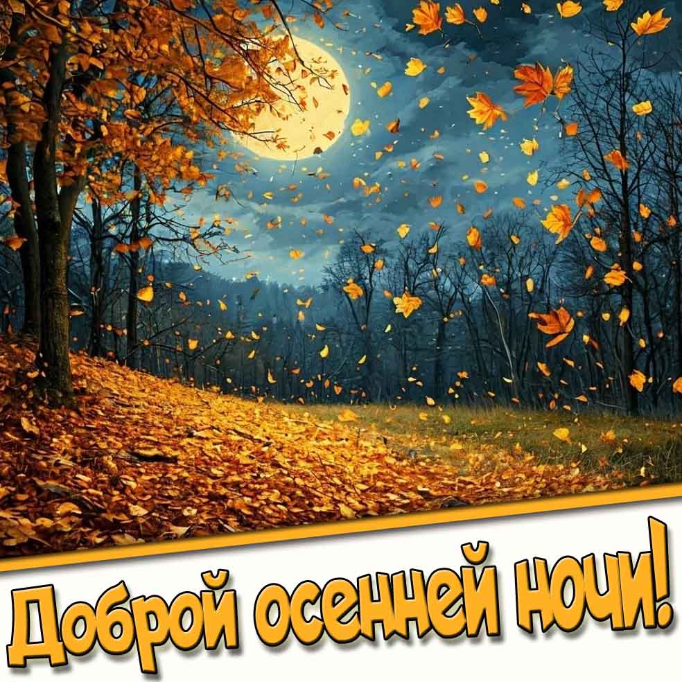 Картинка доброй осенней ночи