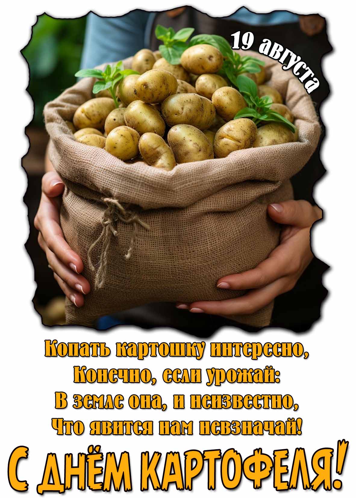 Картинка чтобы поздравить с днём картофеля 19 августа