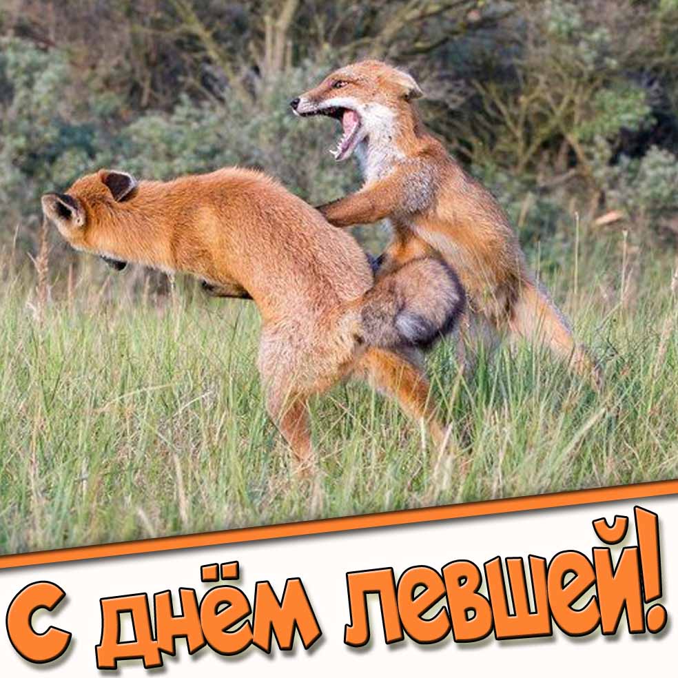 С днём левшей! - смешная открытка