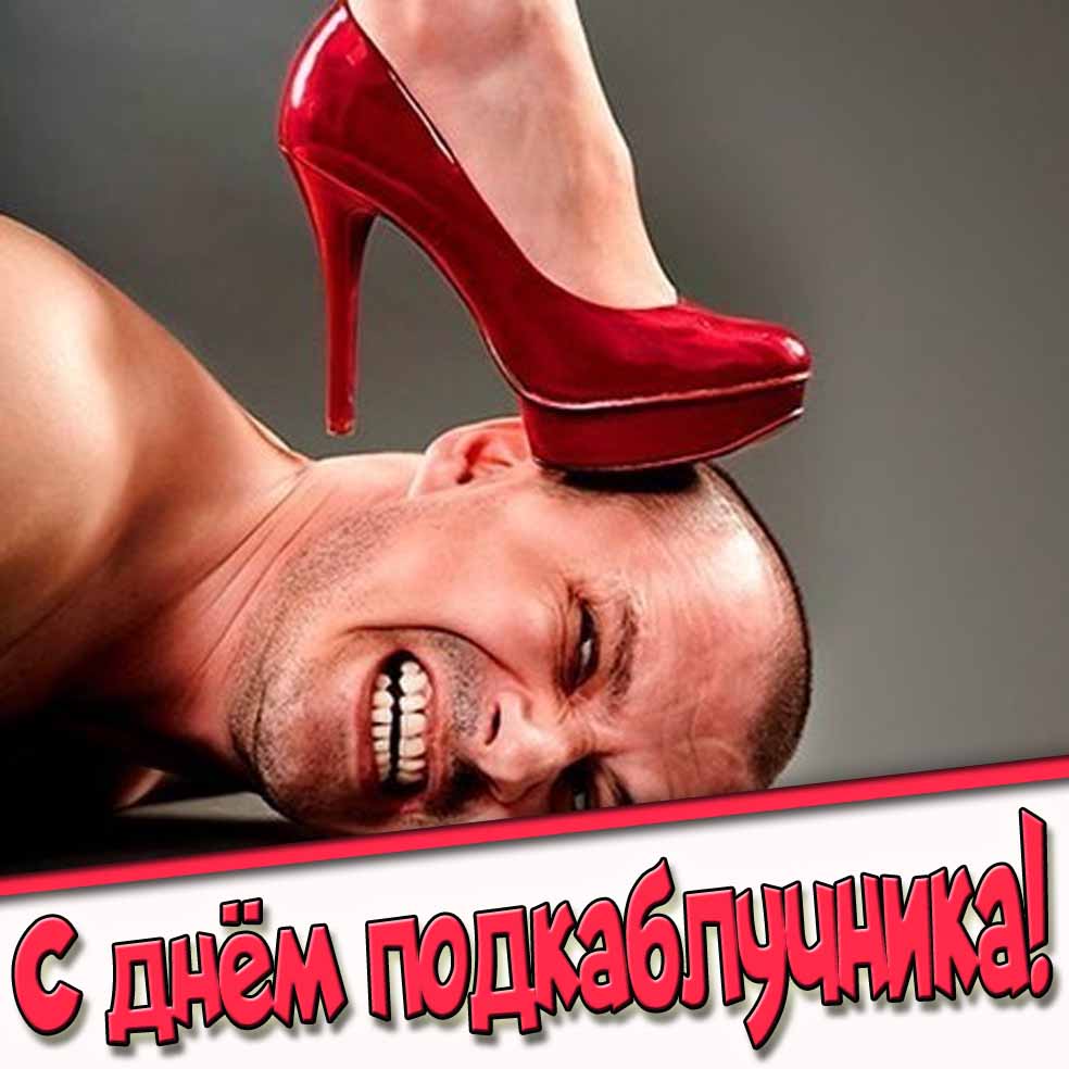 С днём подкаблучника! - прикольная открытка