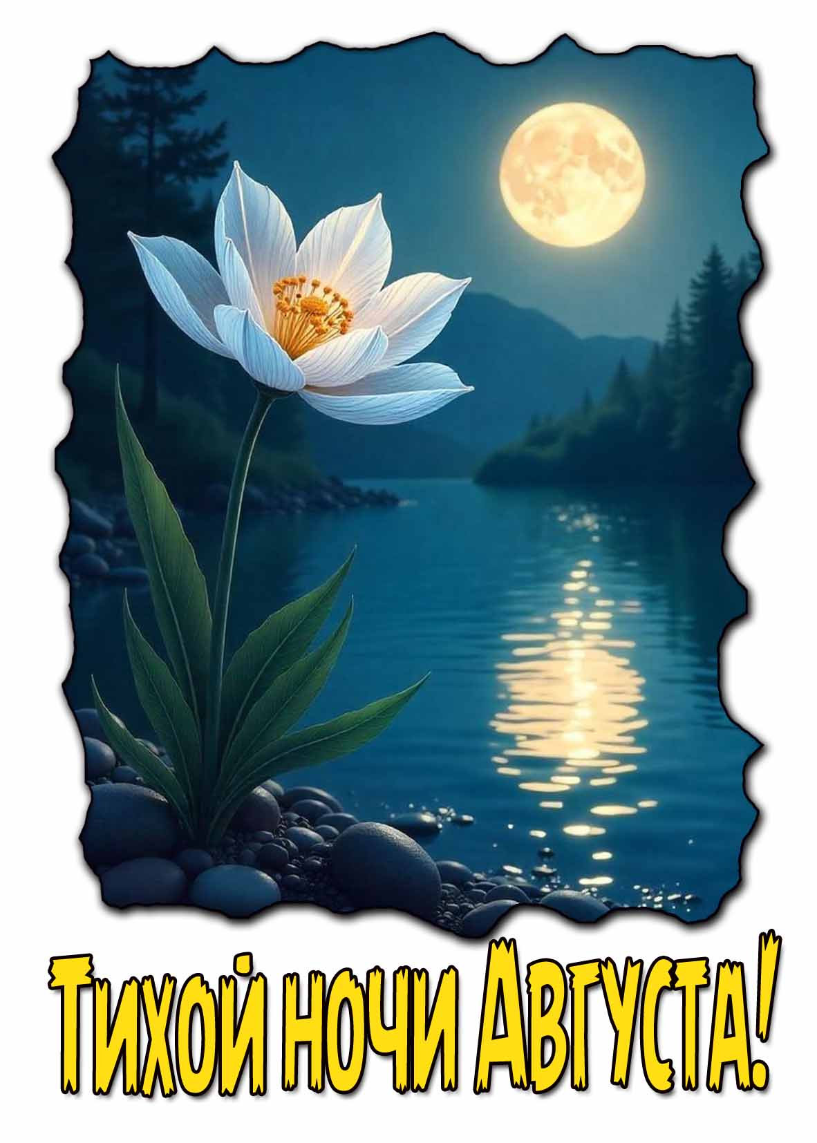 Тихой ночи августа! - открытка с цветком