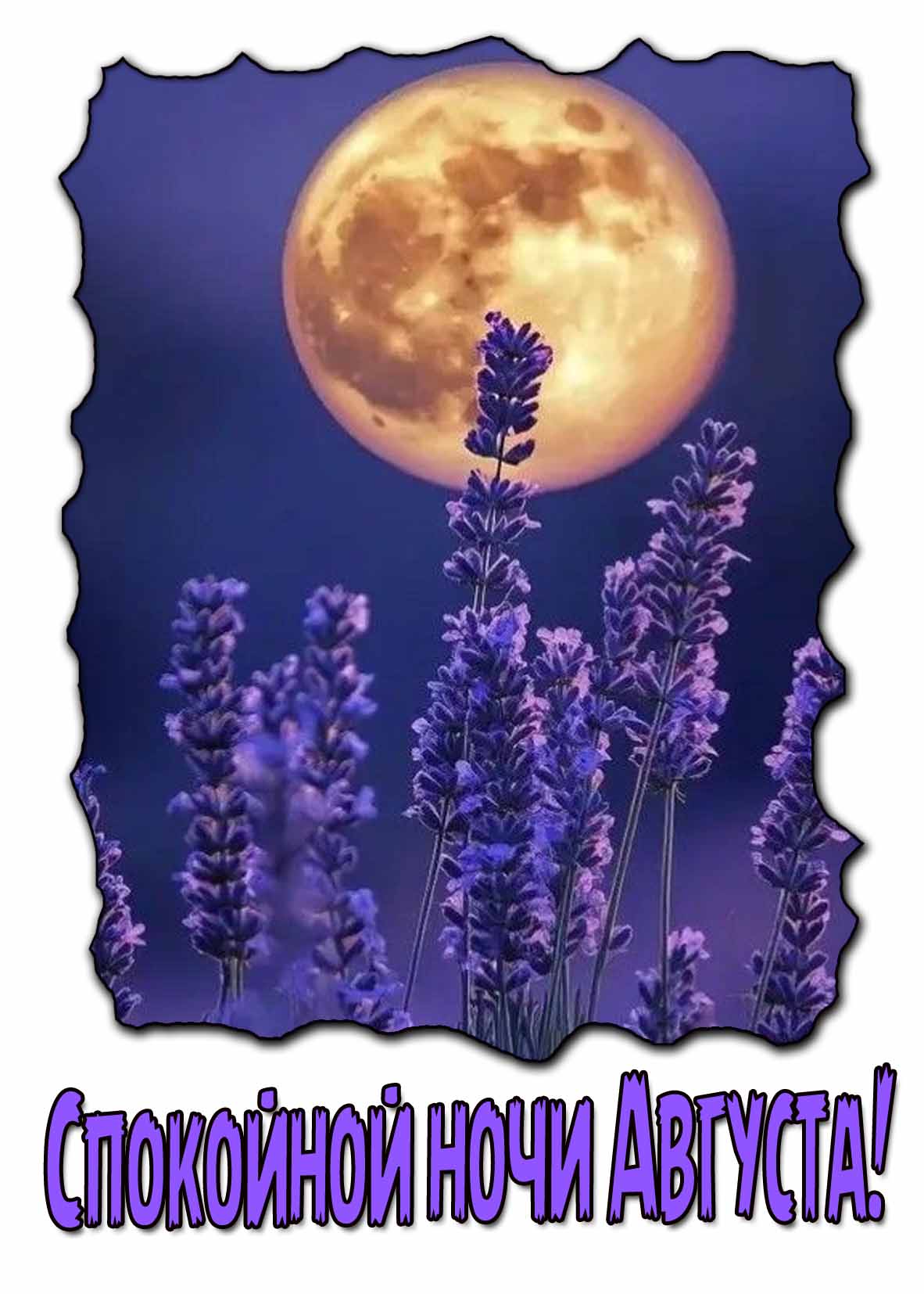 Спокойной ночи Августа! - открытка с цветами