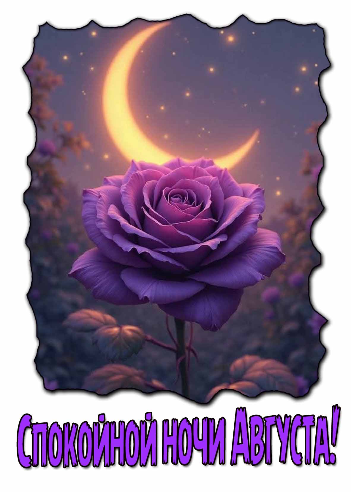 Красивая открытка спокойной ночи августа