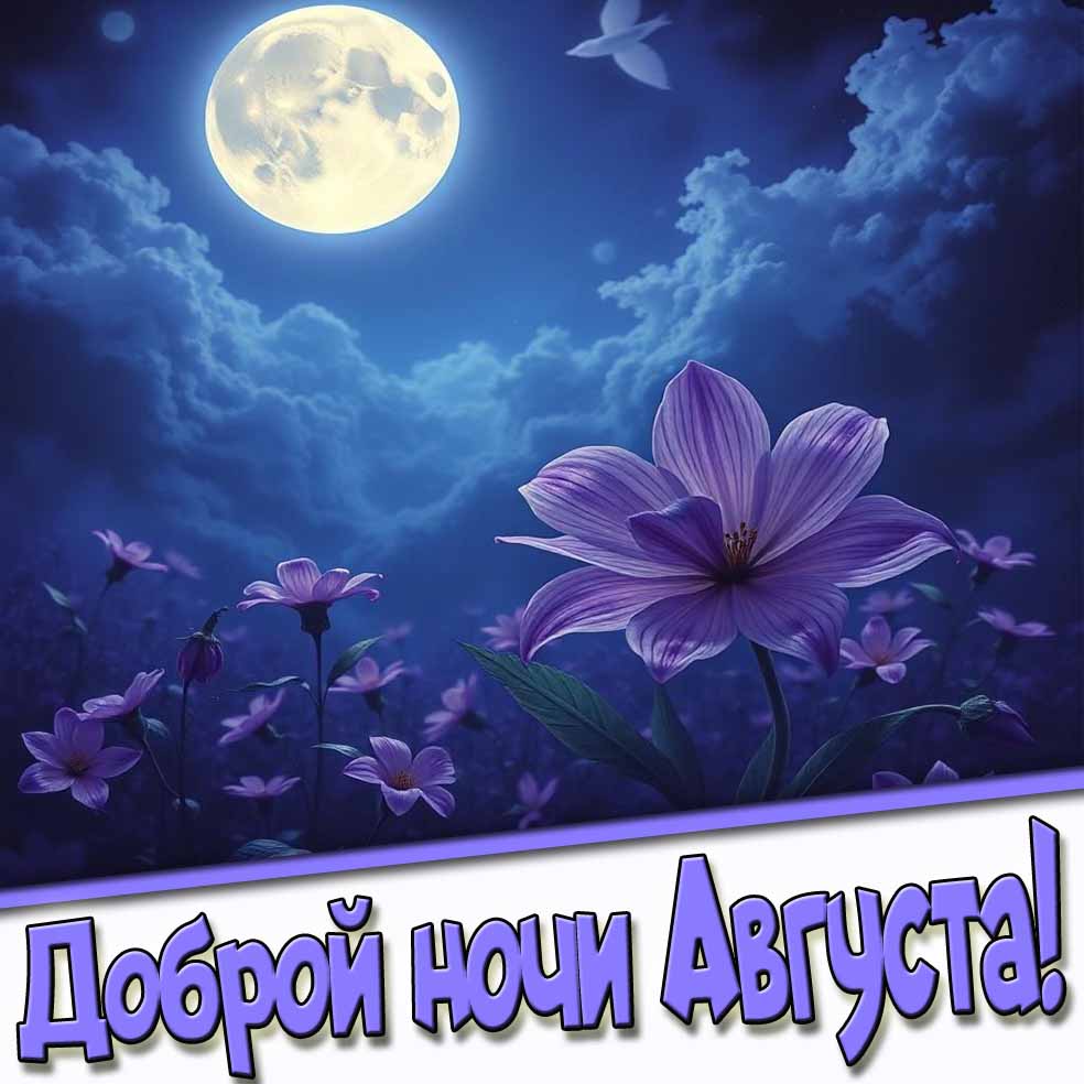 Картинка доброй ночи августа