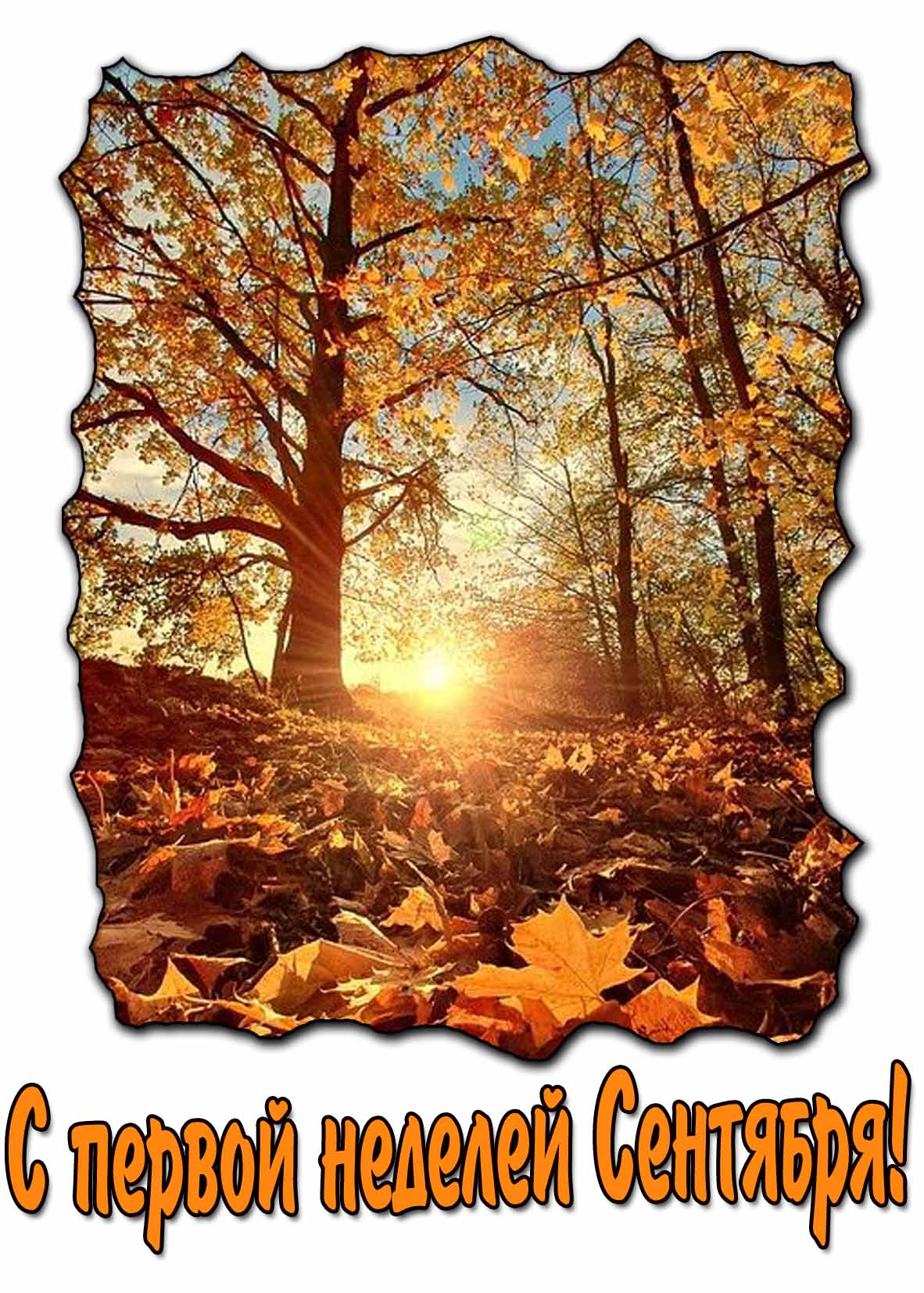 Картинка с первой неделей Сентября