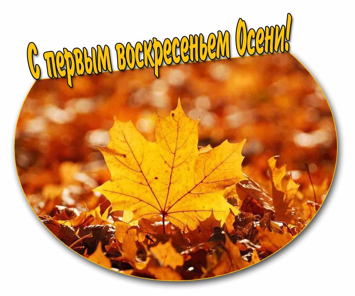 С первым воскресеньем Осени! - открытка с листиком