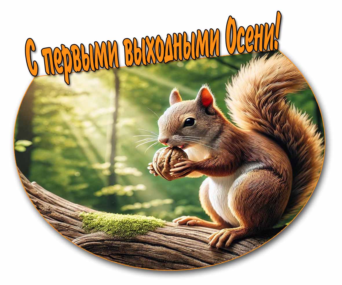 С первыми выходными Осени! - картинка с белкой