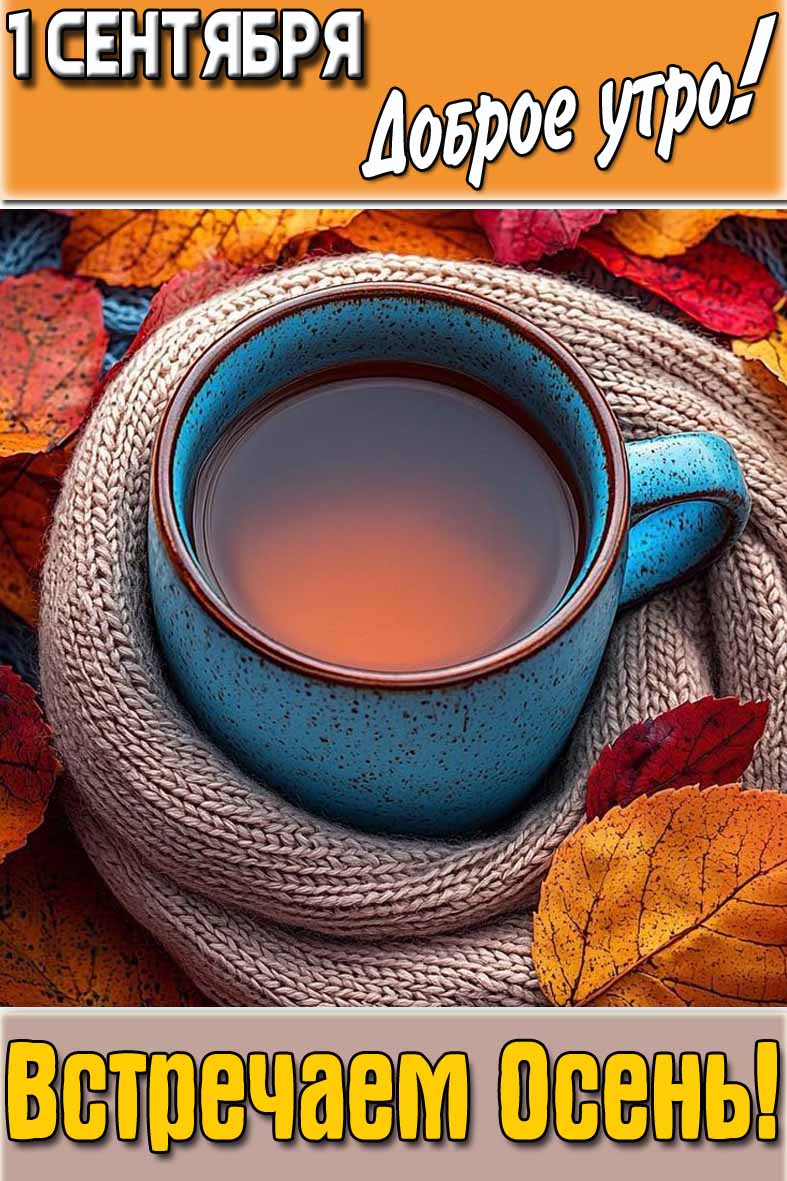 Открытка "1 Сентября доброе утро! Встречаем Осень!"