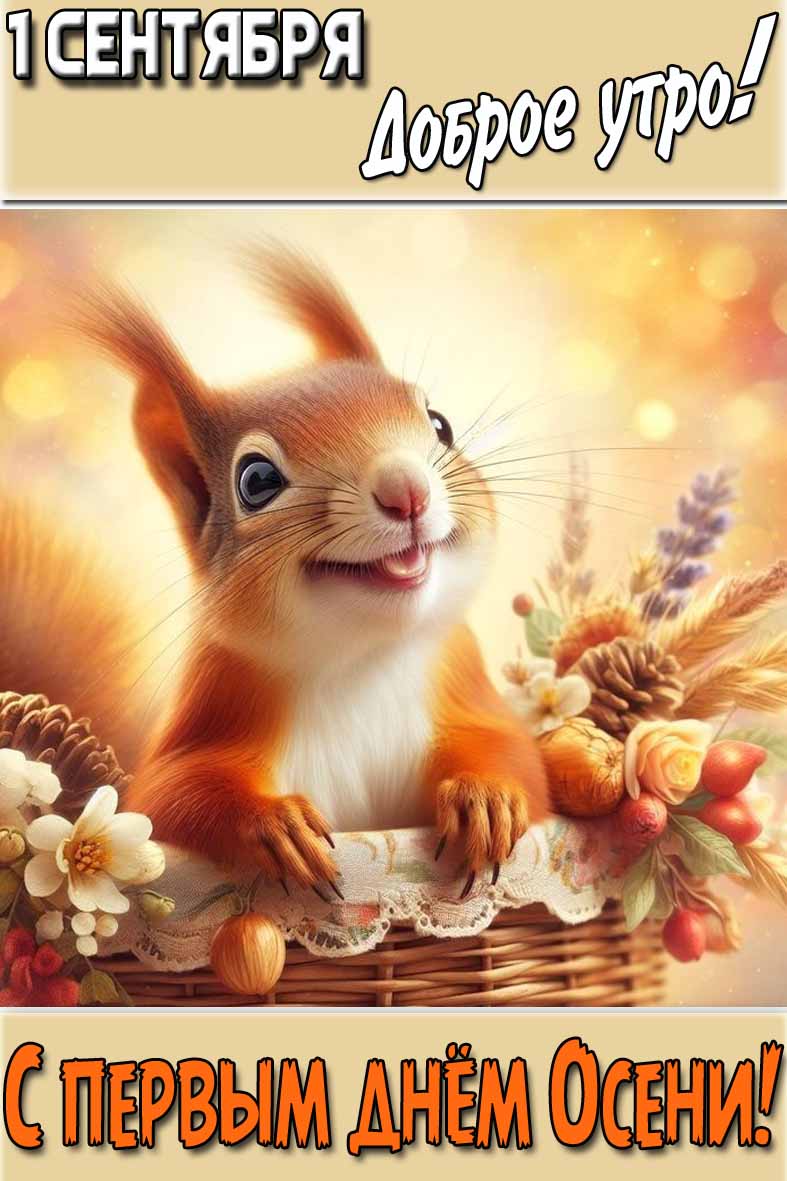 Красивая картинка "1 Сентября доброе утро! С первым днём Осени!"