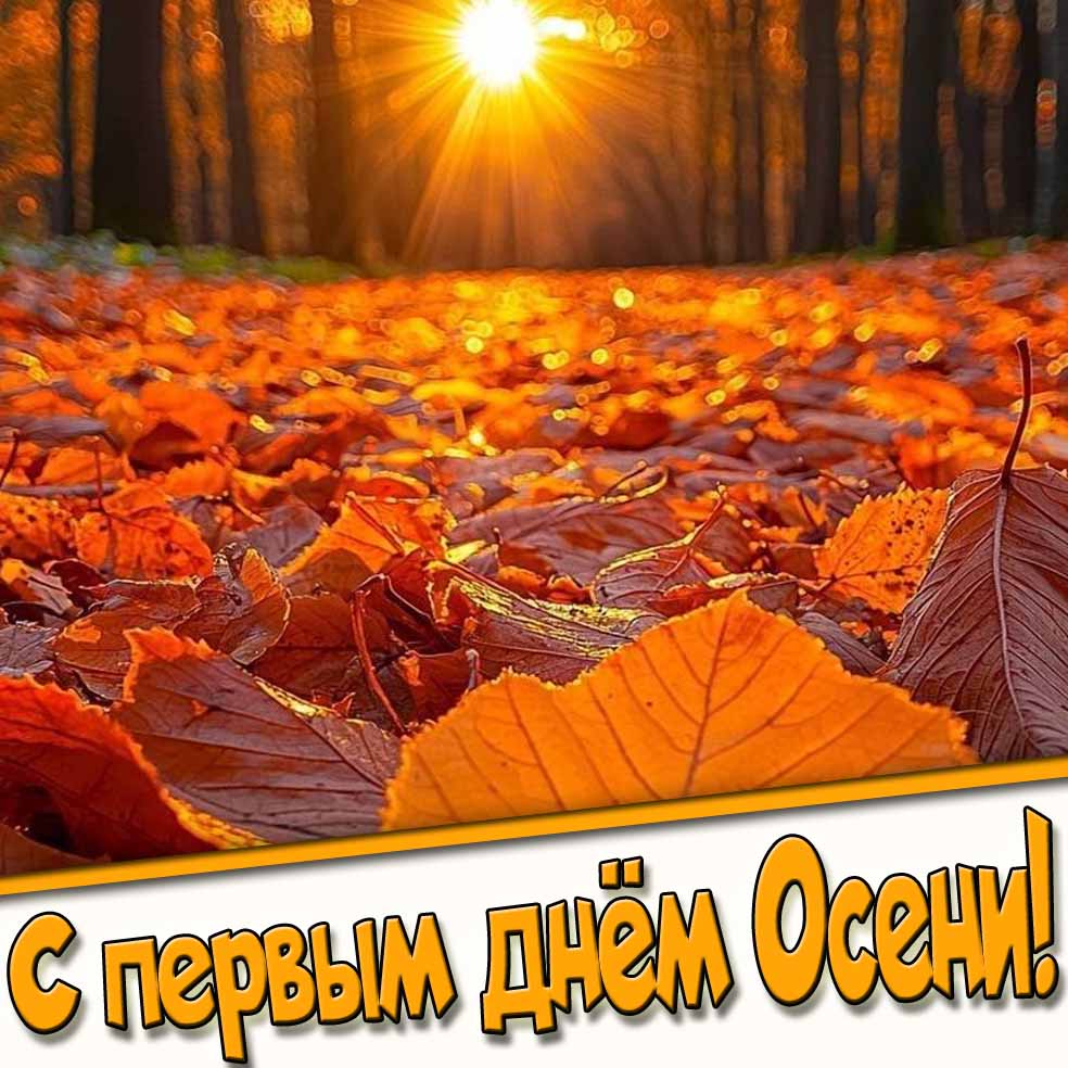 С первым днём осени! - солнечная открытка с листвой