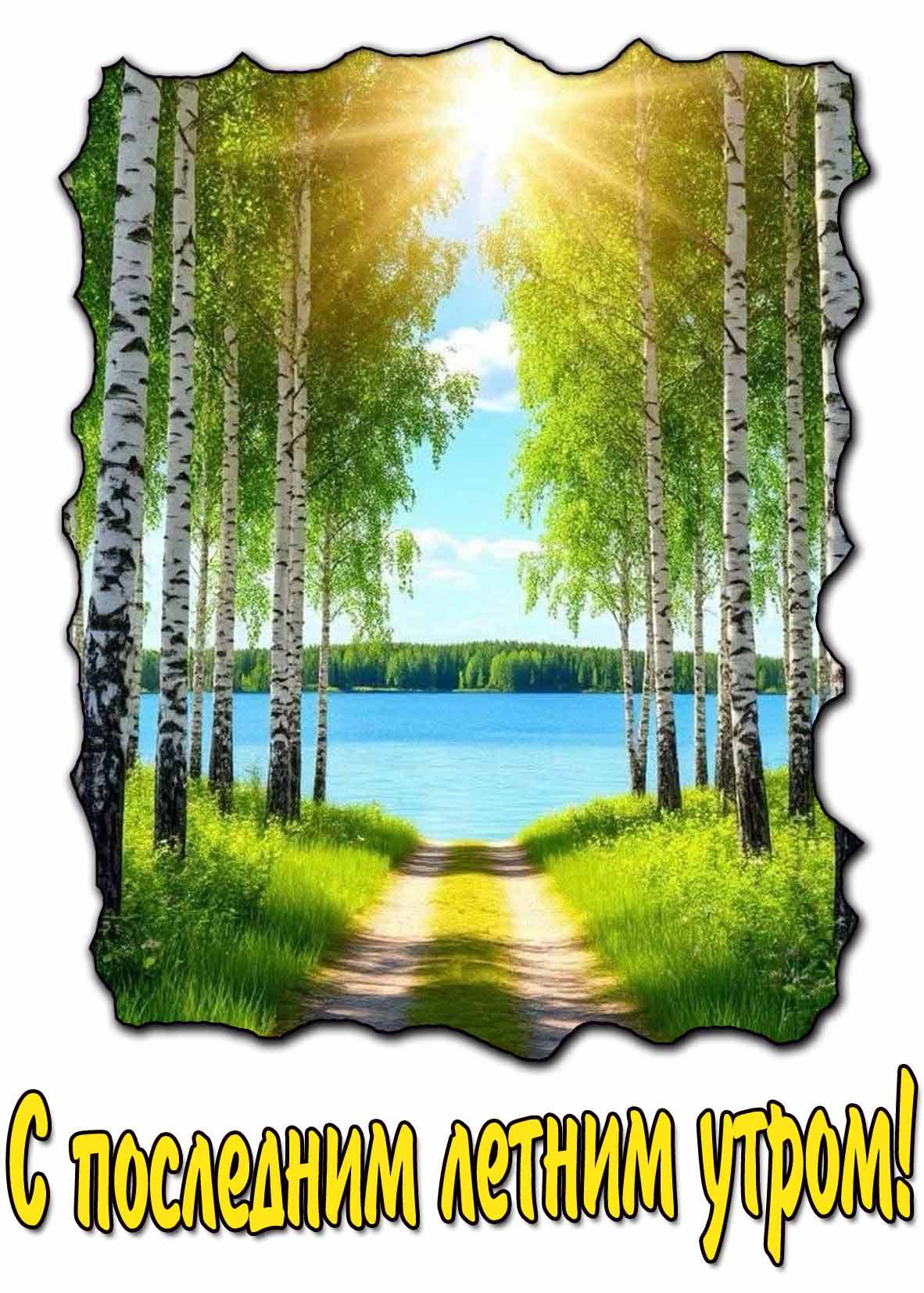 С последним летним утро! - картинка с берёзами