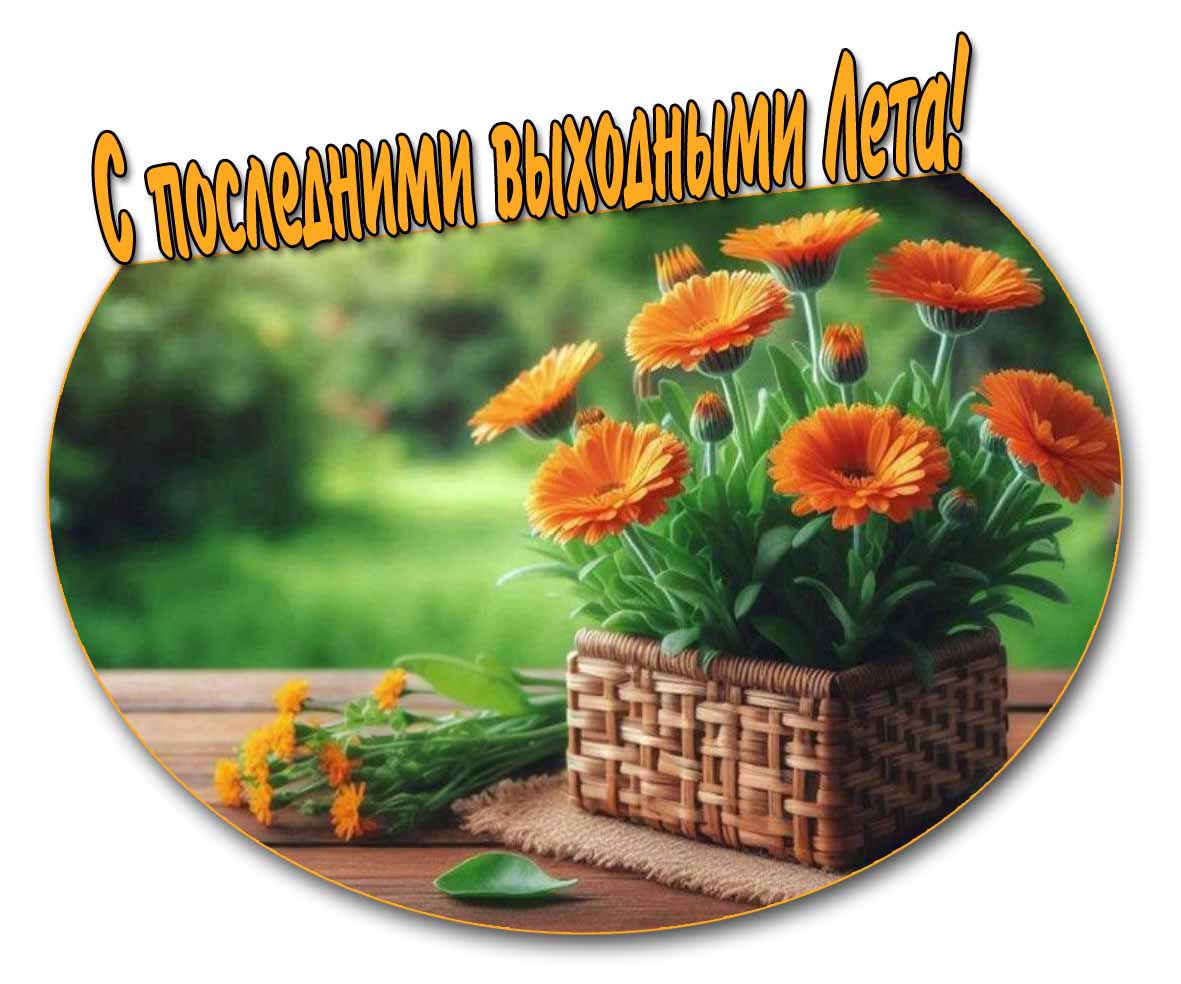 Картинка с последними выходными Лета