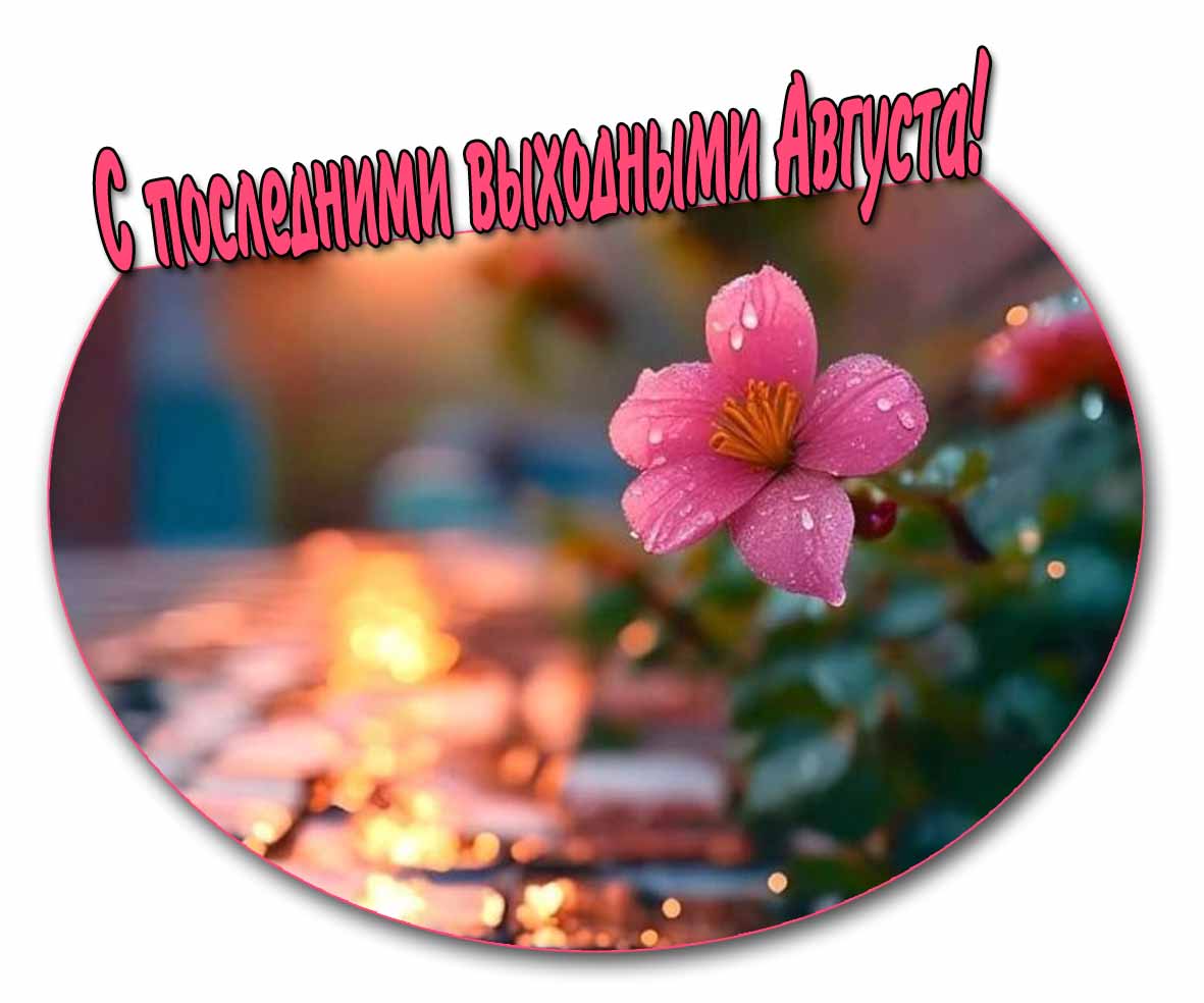 С последними выходными Августа! - картинка